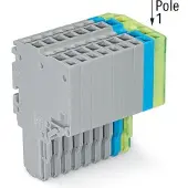 Wago 2020-210/000-038 2-Leiter-Federleiste,Push-in CAGE CLAMP,1,5 mm2,grau/blau/grün-gelb 2020210000038 - 25 Stück