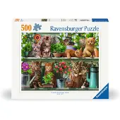 Ravensburger Katzen im Regal 12000205