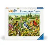 Ravensburger Vogelwiese 12000336