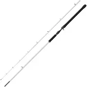 Abu Garcia BEAST X2 842 HP Trolling Cast 2,54m 40-130g - Schlepprute