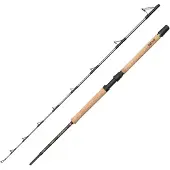 Penn Regiment Iv Pro Boat Spinnrute