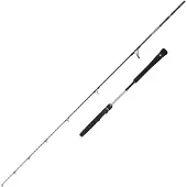 Penn Prevail Iii Leichte Jiggingrute
