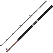 Penn Warfare Ii Boat Jiggingrute Silber 1.83 m / 50 Lbs Silber 1.83 m