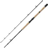 Penn Squadron IV Proboat 6Ft 211cm 30-50lb - Meeresrute