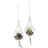 Creativ Green Kunstpflanze "Sukkulenten", grün, H:11cm Ø:12cm, Kunststoff, Kunstpflanzen, Kunstpflanze, mit Makramee-Aufhängung