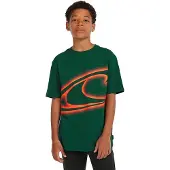 O'Neill Wave T-shirt emerald envy (16056) 176