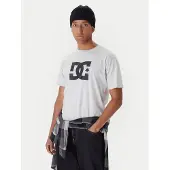 Dc-shoes T-Shirt Star ADYZT05373 Grau Regular Fit