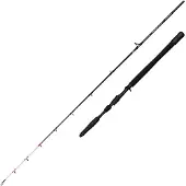 Penn Marine Brigade Dentex Jiggingrute Silber 1.90 m / 50-150 g Silber 1.90 m