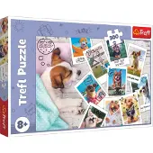 Trefl 23003, 300 Stück(e), Tiere, 8 Jahr(e)