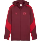 Puma RBS EVOSTRIPE Hooded Jacket - rot, Größe:L