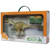 Collecta Geschenkset - Vorgeschichte