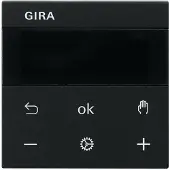Gira 5393005 S3000 RTR Display System 55 Schwarz m