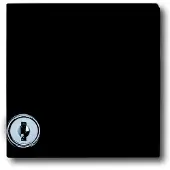 Busch-Jaeger 2118 GKSL-35, Anthrazit, IP 44
