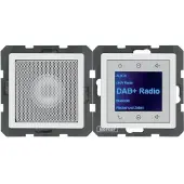 Berker Q.X RADIO DAB+ POLARWEIß SAMT (29806089 RADIO SET)