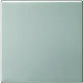 Gira 5360600 S3000 Bedienaufs. System 55 Edelstahl