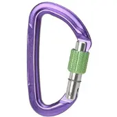 Wild Country Session Screw Gate Karabinerhaken