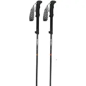 Gabel Ibex Carbon Xts Stöcke Silber 34-115 cm Herren,Damen Silber 34-115 cm