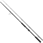 Molix Outset Predator Spinnrute