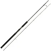 Abu Garcia Oceanfield Offshore Casting Spinnrute