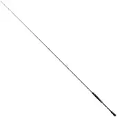 Daiwa Steez Ags Spinnrute