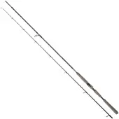 Daiwa Saltist Ags Iii Spinnrute