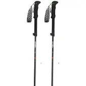 Gabel Ibex Carbon Xtl Stöcke