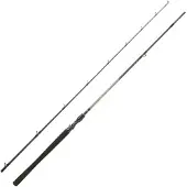 Daiwa Exceler Baitcastrute