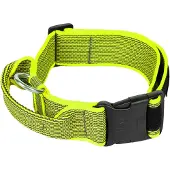 JULIUS K-9 Collar 40 Mm Hundehalsband