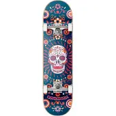 Hydroponic Mexican Co 7.87´´ Skateboard
