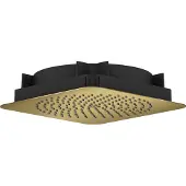 Hansgrohe Kopfbrause Axor Citterio C 1j De., Mind.-Druck 1,2 b, pol. gol opt