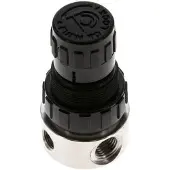 Tameson Druckregler G1/4'' 350l/min 0,5-8,0bar/7-116psi