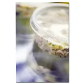 Duni GmbH 159141, Bowl, Round, Polypropylene, Transparent, Monochromatic, 700 pc(s)