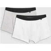4F Boxer Shorts M059 (2pack) multicolour (90S) XXL