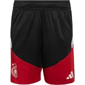 Adidas Germany 26/27 Tiro Training Junior-shorts
