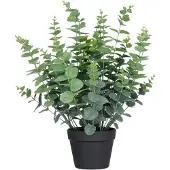 Creativ Green Kunstpflanze "Eukalyptus gunnii" in UV-beständiger Ausführung