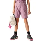 Dare 2b Reprise Iii Kurze Hose