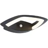 Paulmann LED-Sensor-Außenwandlampe Akena, 3.000 K, anthrazit