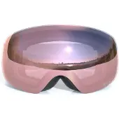 Whistler Morgins Topaz III Spherical Ski Goggle cool gray / grape (1168G) One size