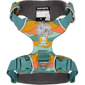 Ruffwear Front Range Hundegeschirr