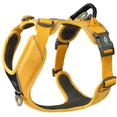 Dog Copenhagen Comfort Walk Pro Geschirr - Lemon - XS