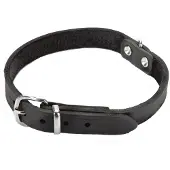 Beeztees Hundehalsband Leder - Schwarz - 70 cm x 25 mm