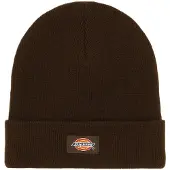 Dickies Gibsland Mütze