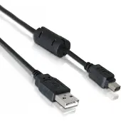 DeLOCK Cable camera Olympus 12-Pin USB 1m, 1 m, USB A, Männlich/Männlich, Schwarz