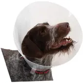Kruuse Transparent Classic Collar - Größe 3