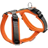 Hunter Geschirr Maldon Up, Hund, Halftergeschirr, M-L, Grau, Orange, Netz, Polyester, 3,4 cm