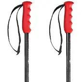Nordica Freeride Pro Stöcke