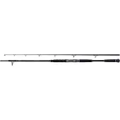 Shimano Beastmaster AX Catfish 220cm 120g 2pc Welsrute