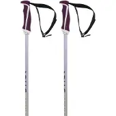 Völkl Phantastick W Poles silver 110