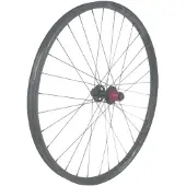 Gtr Sl30 29´´ Disc Tubeless Mtb Hinterrad