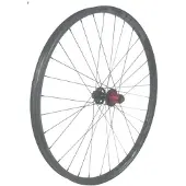 Gtr Sl30 29´´ Cl Disc Tubeless Mtb Hinterrad